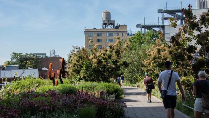 NEW YORK, USA - JULY 05, 2018: People relaxing on the High Line, a linear park created on an elevated section of a disused New York Central Railway in New York City