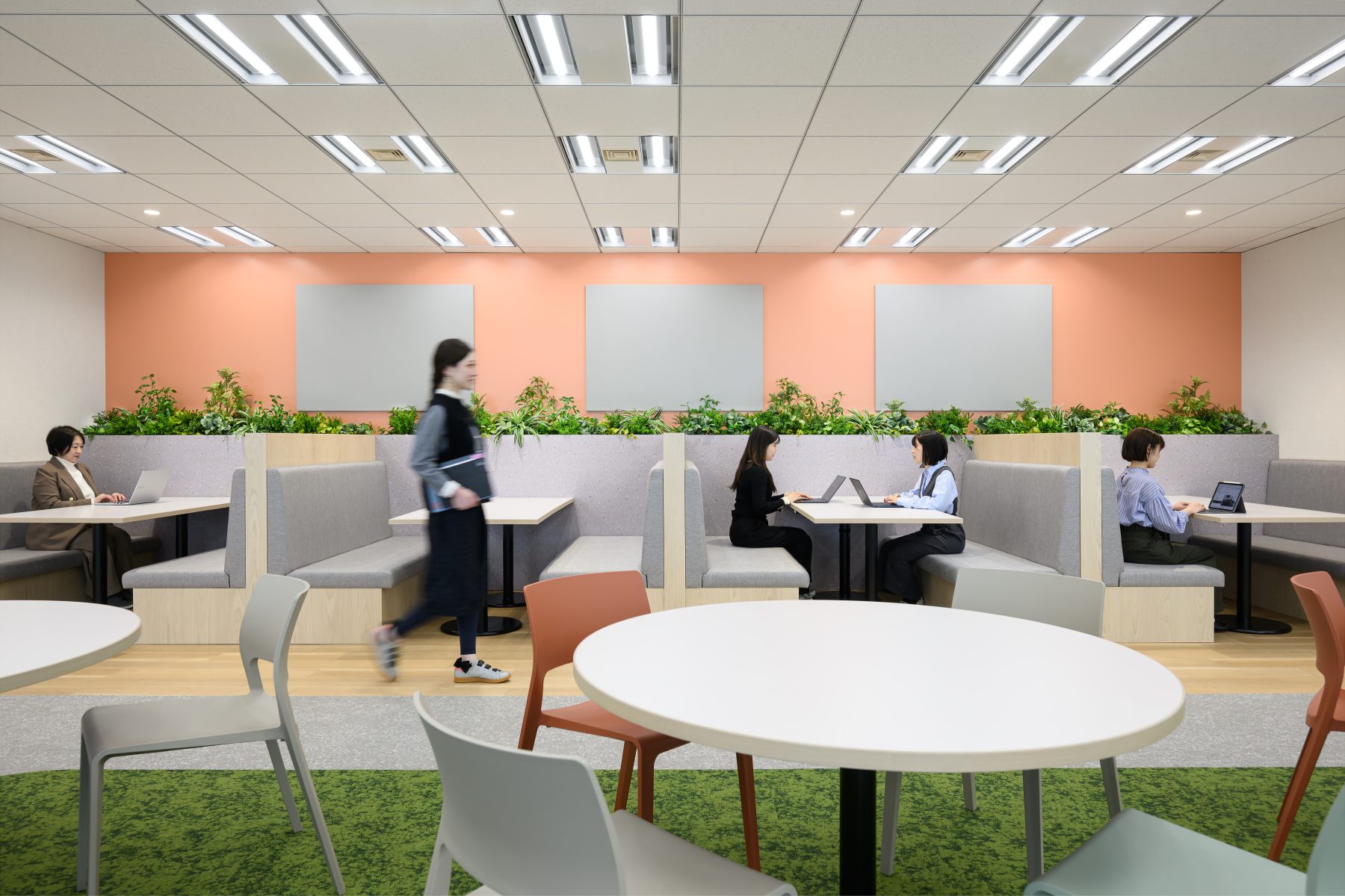 293_株式会社TBSテレビ　JNN Park！