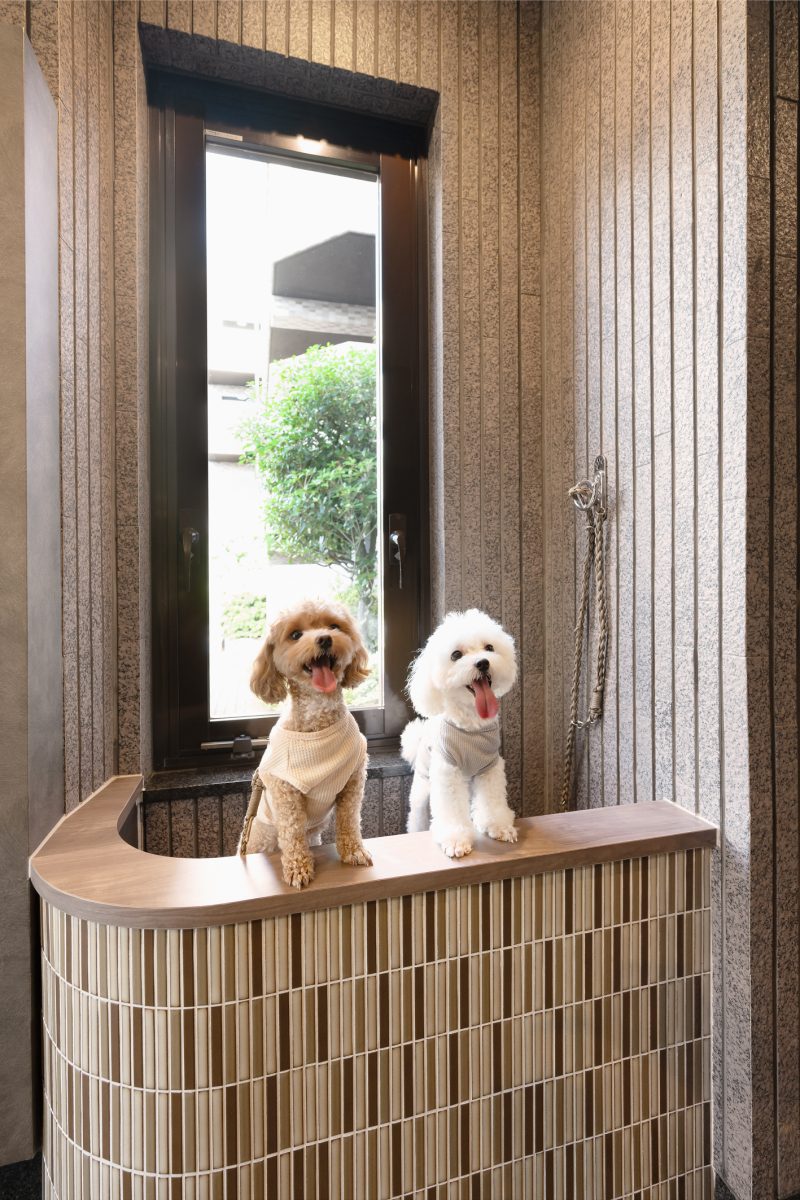 works305_エマーレ保谷